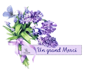 pour vos commentaires vos superbes cadeaux  un grand merci a tous