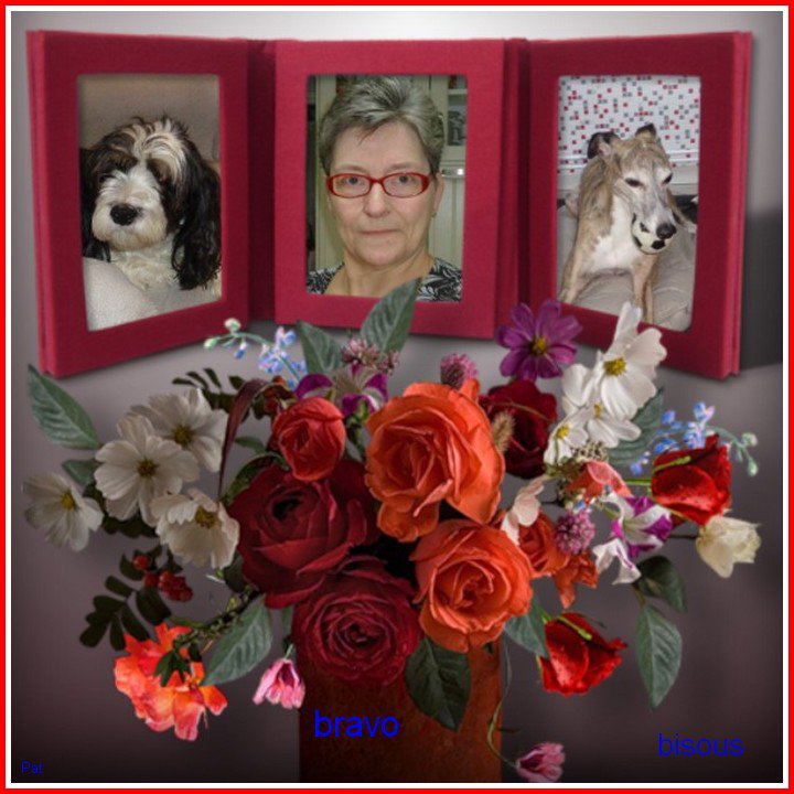 bravo claire pour tes com's