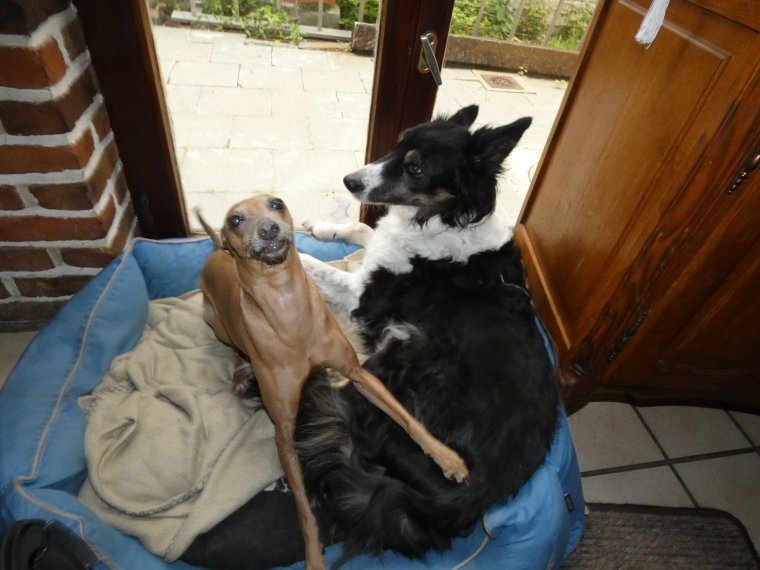 cool on va a la mer  , nous sommes pret 