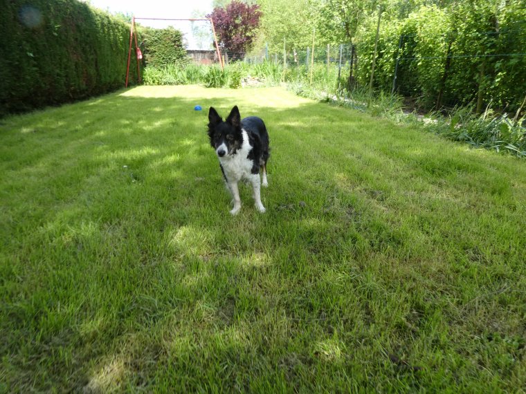 cool on va a la mer  , nous sommes pret 