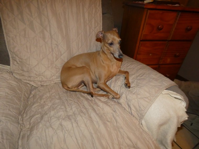 cool on va a la mer  , nous sommes pret 