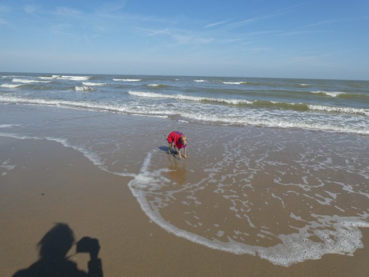 l air frais le vent �a donne quand meme envie d aller mettre les papattes oh mais que  c est froid