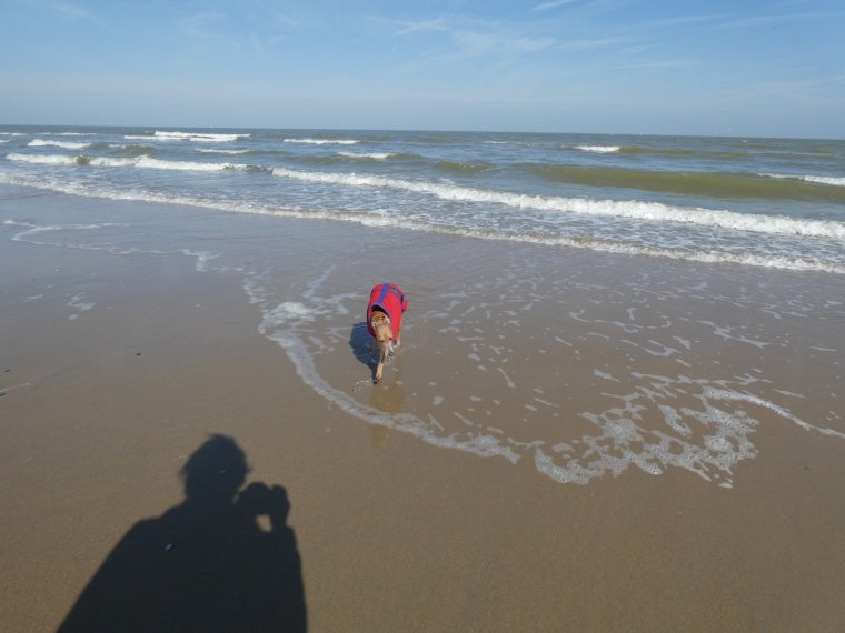 l air frais le vent �a donne quand meme envie d aller mettre les papattes oh mais que  c est froid