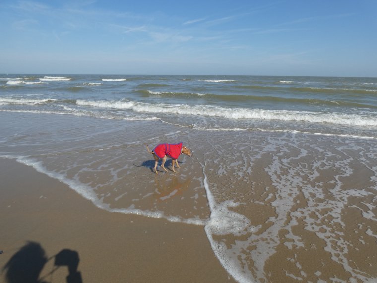 l air frais le vent �a donne quand meme envie d aller mettre les papattes oh mais que  c est froid