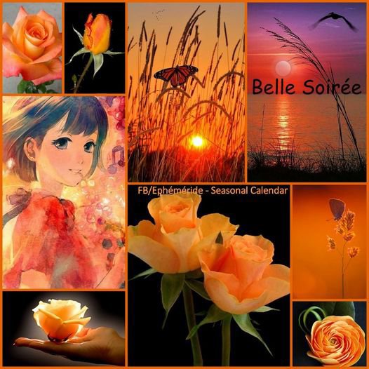 merci manon c est tr�s  joli