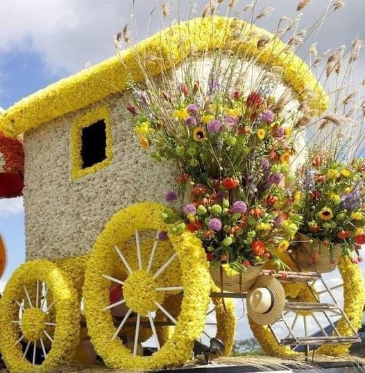 merci manon c est tr�s  joli