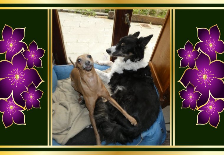 merci roland c est superbe