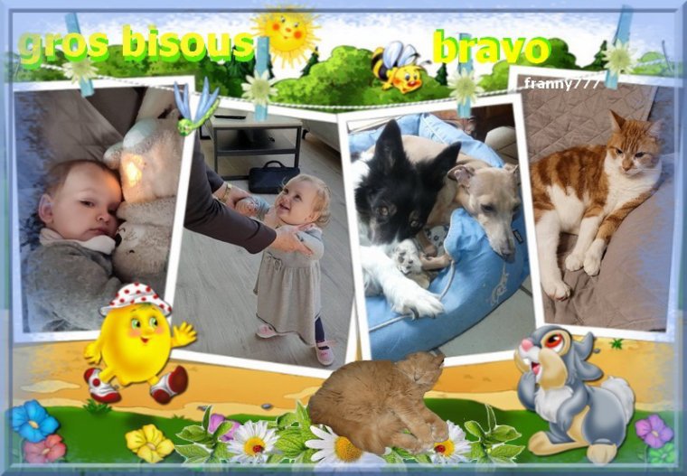 merci fran�oise pour ce superbe cadeau pour mes  com's