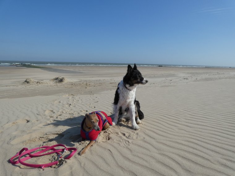 bon d�but de semaine a tous 