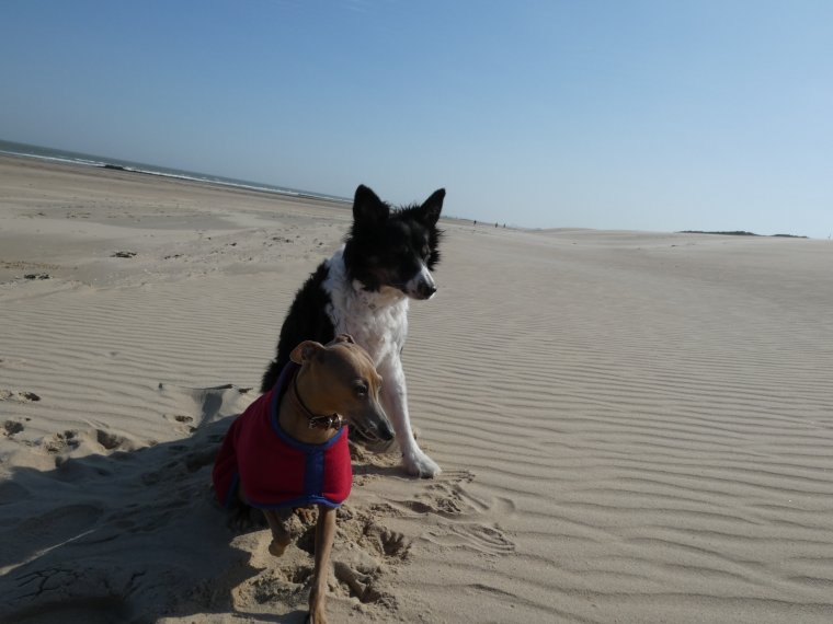 bon d�but de semaine a tous 