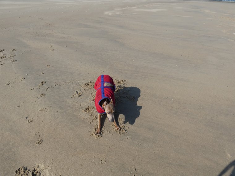 je m �clate a fond