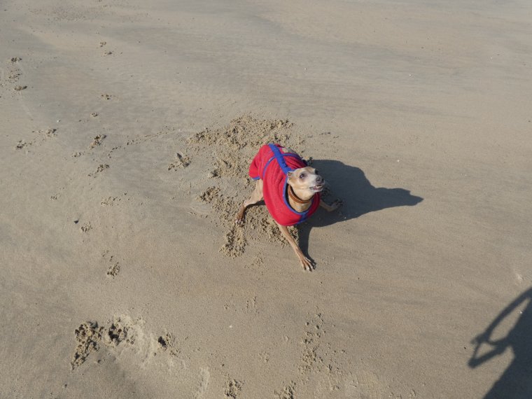 je m �clate a fond