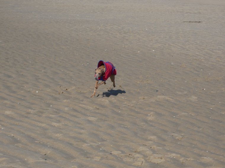 je m �clate a fond