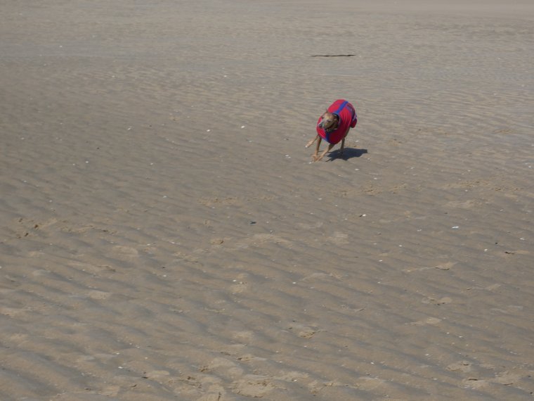 je m �clate a fond