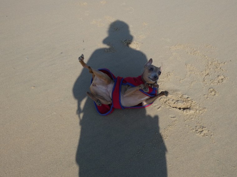 je m �clate a fond