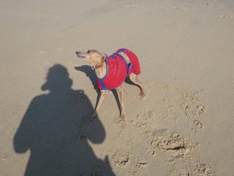 je m �clate a fond