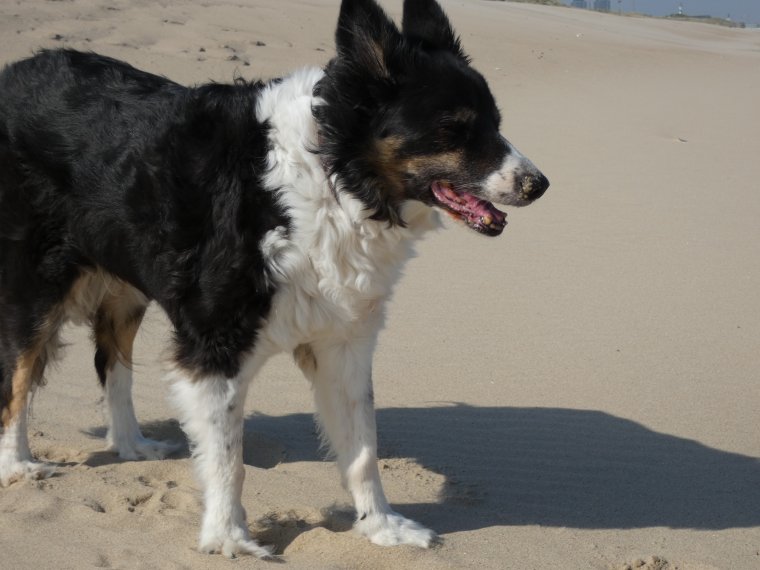 plus de balle pour moi mais je profite quand meme