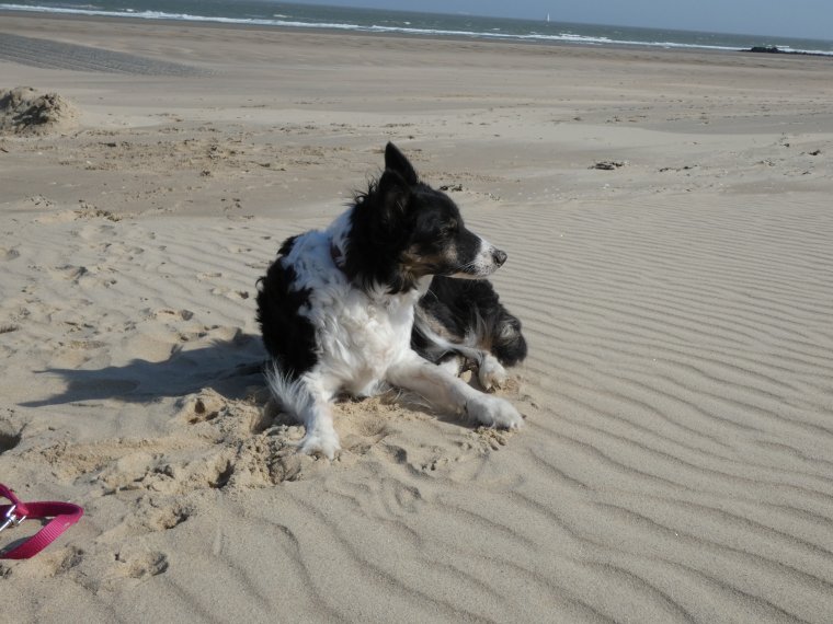 plus de balle pour moi mais je profite quand meme