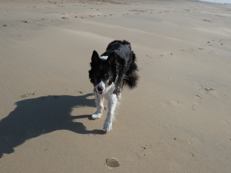 plus de balle pour moi mais je profite quand meme