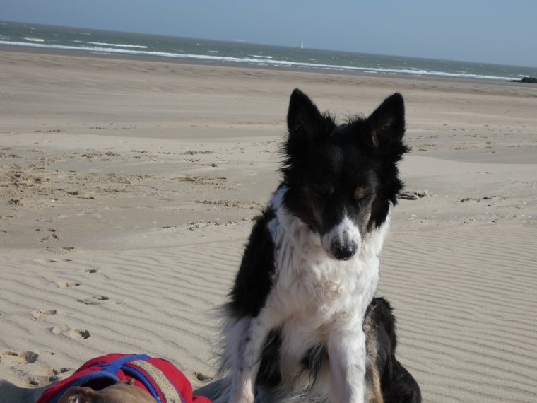 plus de balle pour moi mais je profite quand meme