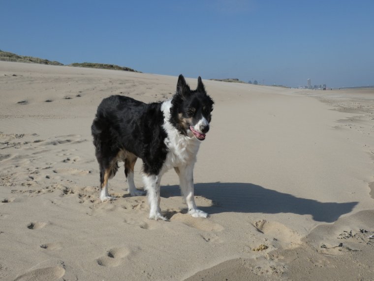 plus de balle pour moi mais je profite quand meme