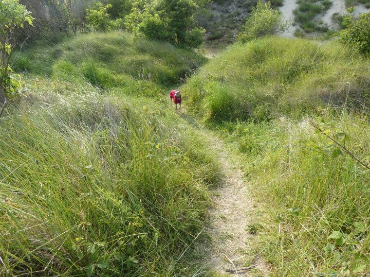 petite promenade de lundi avant de revenir a la maison
