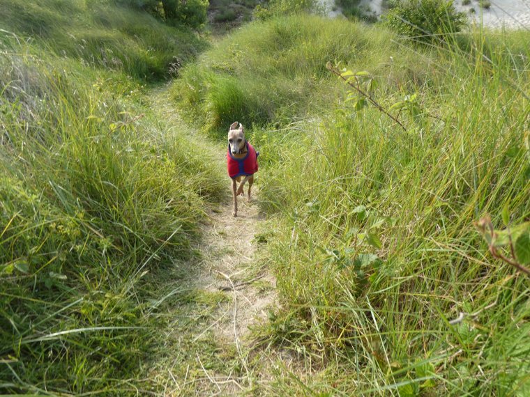 petite promenade de lundi avant de revenir a la maison