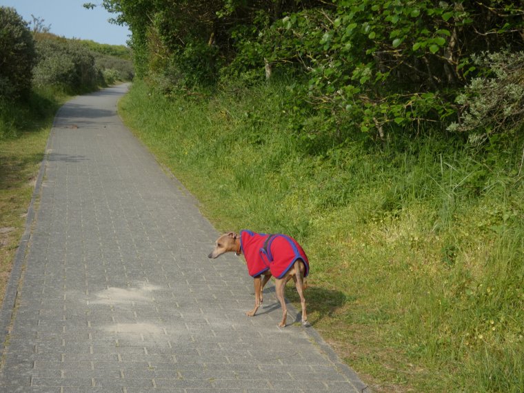 petite promenade de lundi avant de revenir a la maison