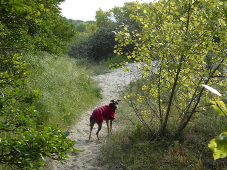 petite promenade de lundi avant de revenir a la maison