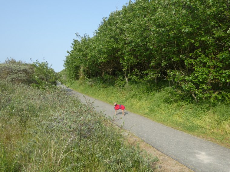 petite promenade de lundi avant de revenir a la maison