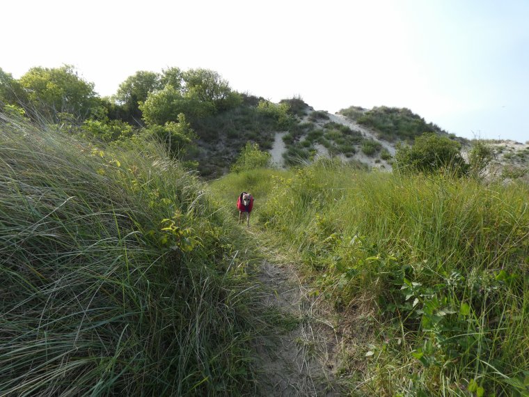 petite promenade de lundi avant de revenir a la maison