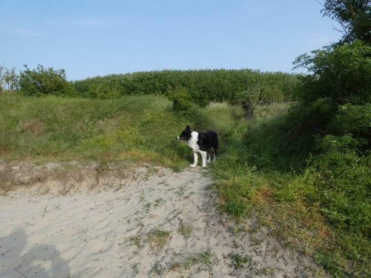 petit tour terminer nous rentrons a la maison