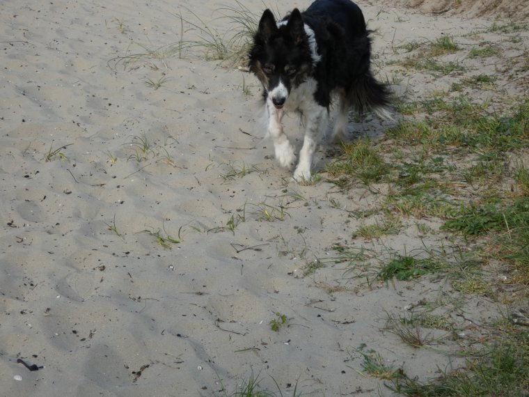 petit tour terminer nous rentrons a la maison