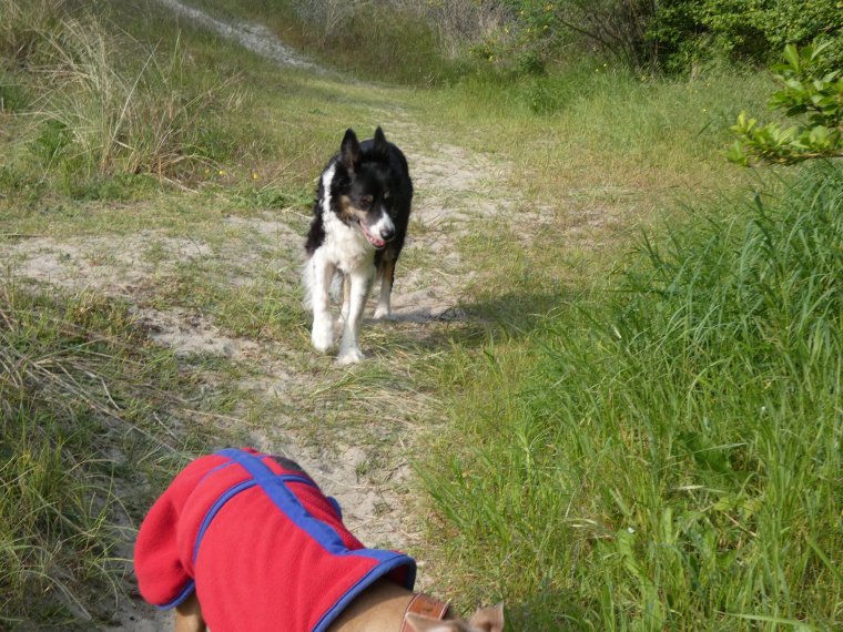 petit tour terminer nous rentrons a la maison