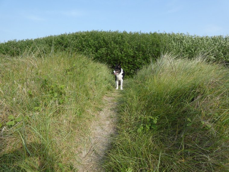 petit tour terminer nous rentrons a la maison