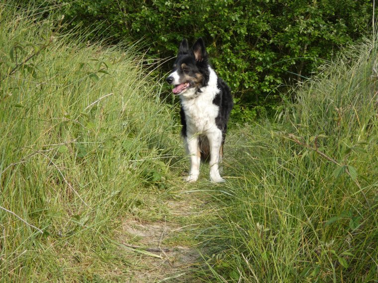 petit tour terminer nous rentrons a la maison