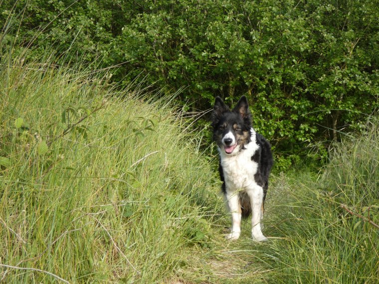 petit tour terminer nous rentrons a la maison