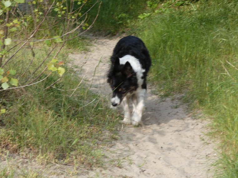 petit tour terminer nous rentrons a la maison