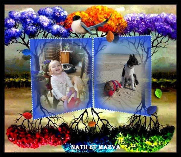 bravo nath pour tes com's et merci a toi pour ce joli cadeau