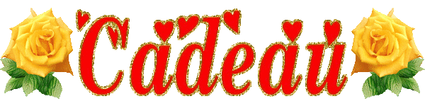 merci jean -louis pour ce superbe cadeau trop belle la robe j adoreeeee