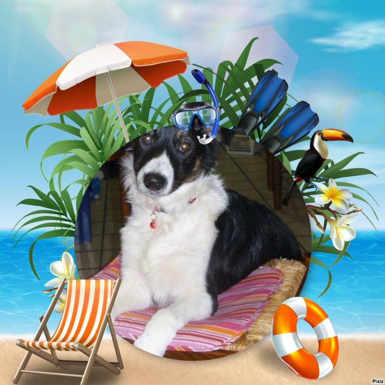 merci roland pour ces jolis cadeaux