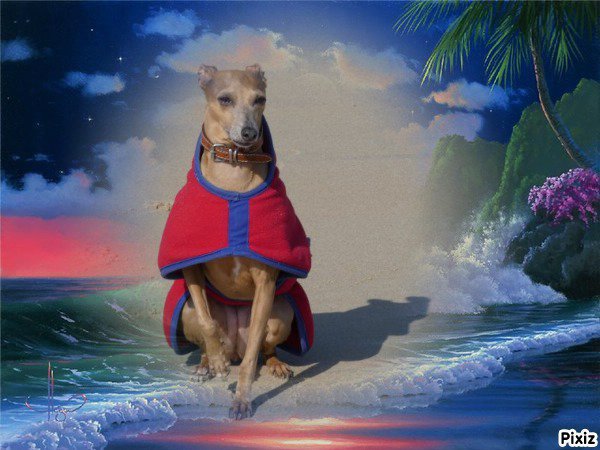 merci roland pour ces jolis cadeaux