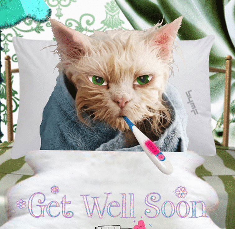 merci rebecca c est tous les jours superbe