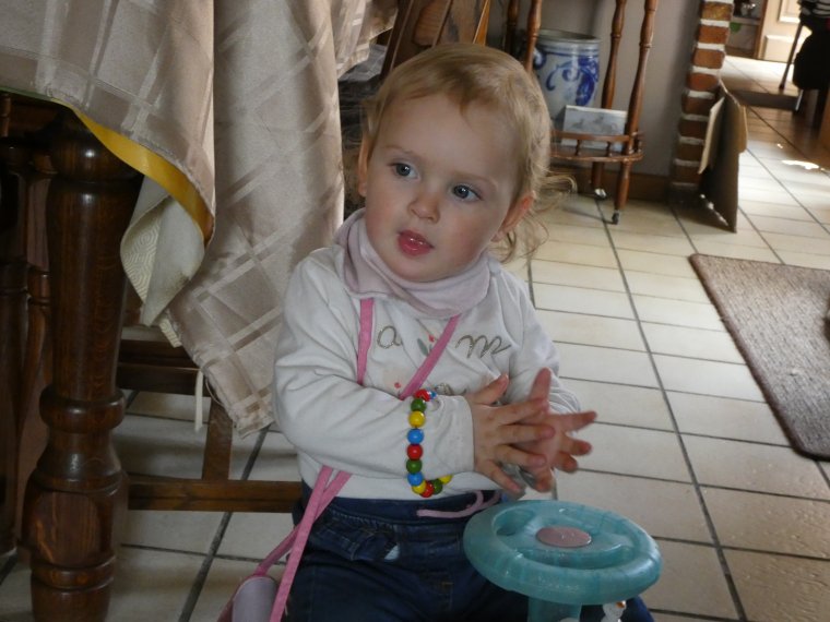 je ferais bien des calins a mon petit chien