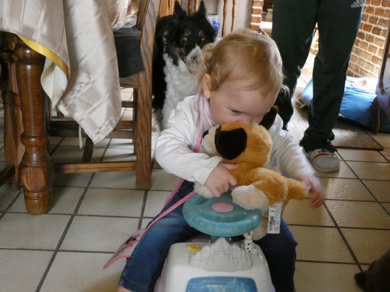 je ferais bien des calins a mon petit chien