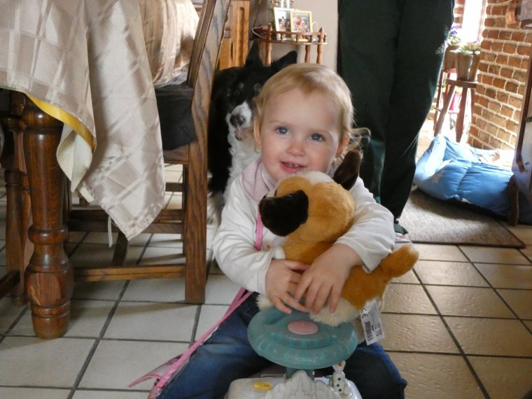 je ferais bien des calins a mon petit chien