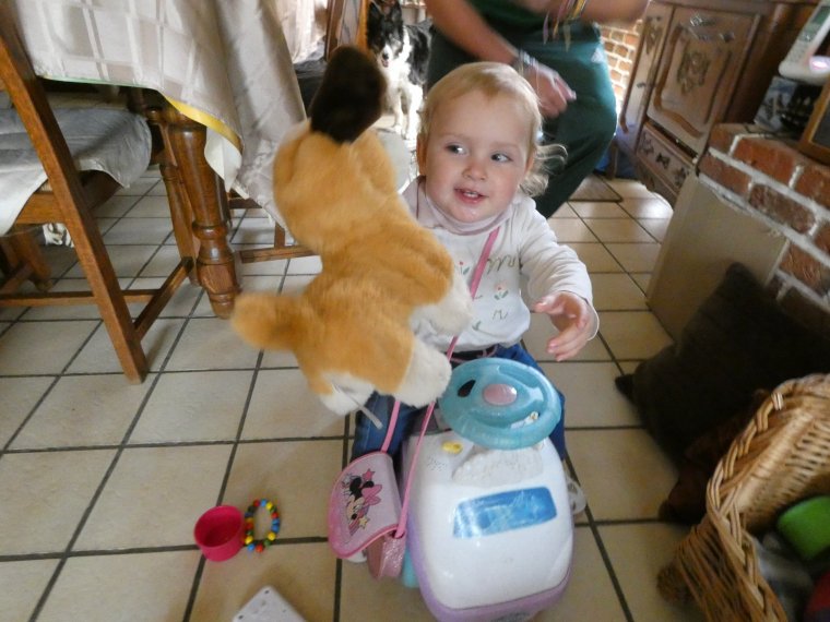 je ferais bien des calins a mon petit chien