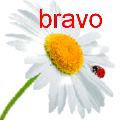 bravo a claire pour ses com's