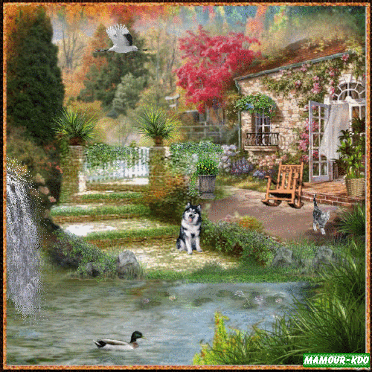 merci mamour-kdo c est magnifique