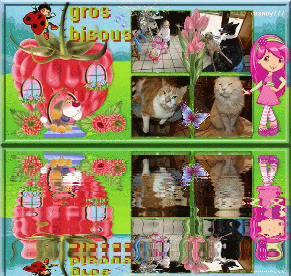 pour mes commentaires superbe cadeau de fran�oise   (merciiiiii)